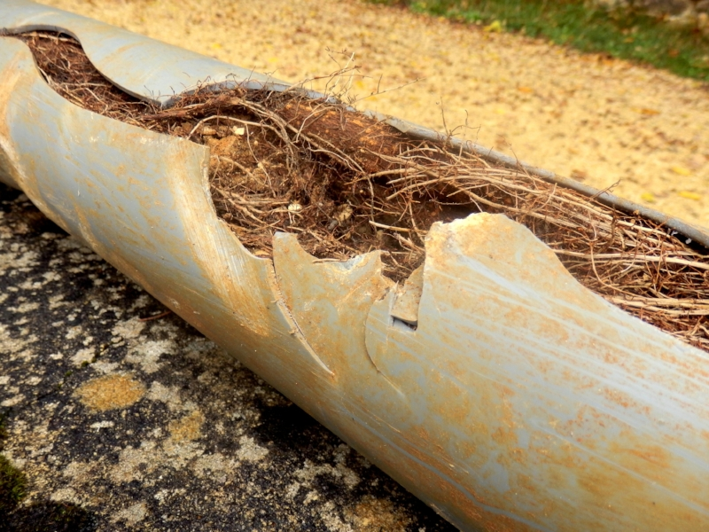 Root Treatment for pipes